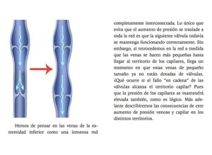 Pantalla-3_480x480-75