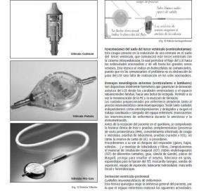 Fuente: www.enfervalencia.org