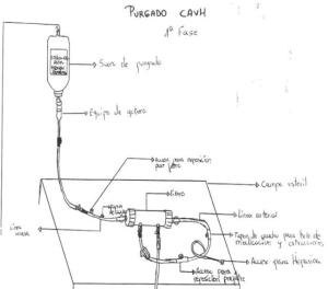 Imagen: www.eccpn.aibarra.org